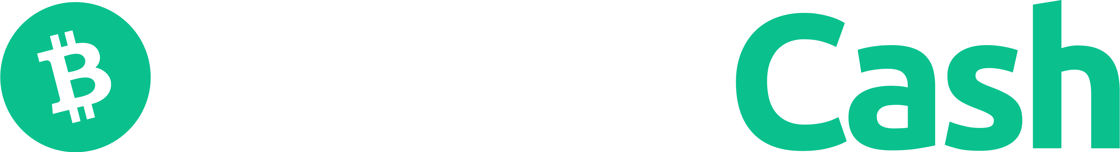 Bitcoin Cash (BCH)